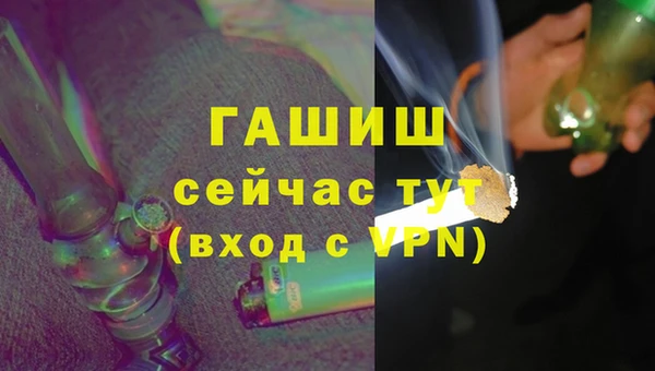 прущие грибы Касимов