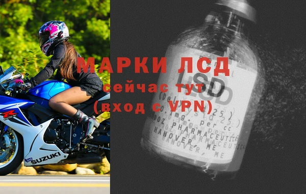 прущие грибы Касимов