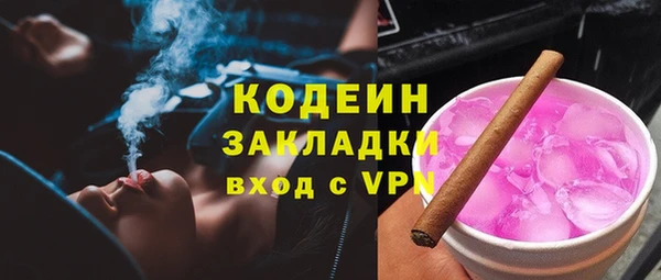 прущие грибы Касимов
