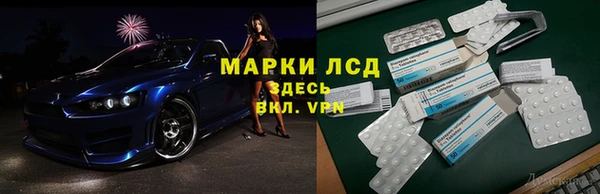 прущие грибы Касимов