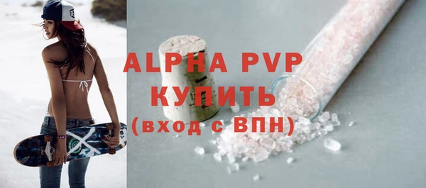 прущие грибы Касимов