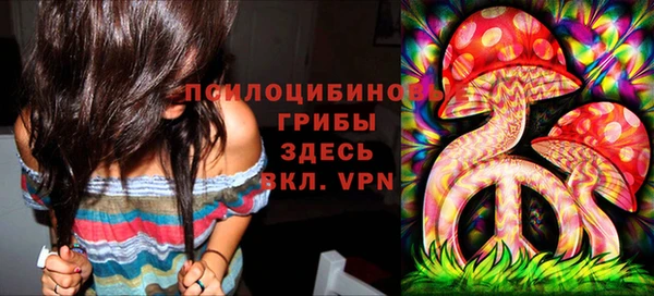 mix Карпинск