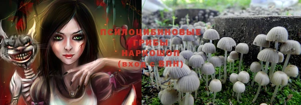 apvp Карталы