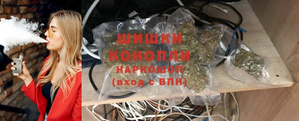 прущие грибы Касимов