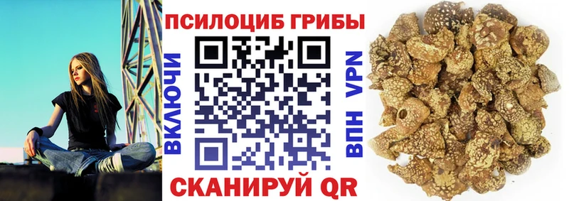 Псилоцибиновые грибы Psilocybine cubensis  ОМГ ОМГ ссылки  Сызрань 