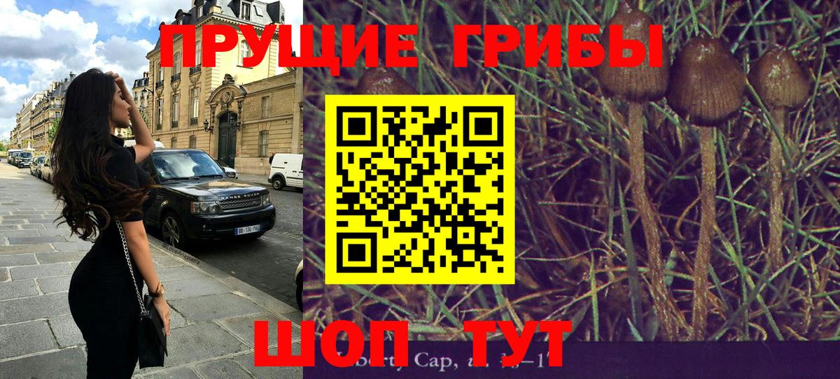 Галлюциногенные грибы Cubensis Сызрань