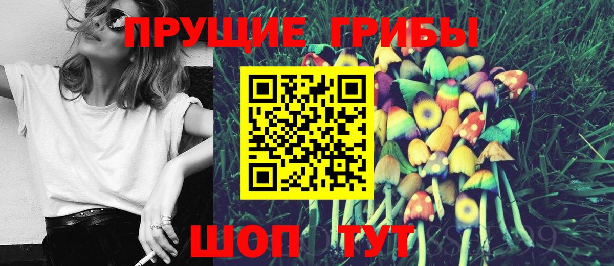 Сызрань  Псилоцибиновые грибы Cubensis  Вход с VPN 